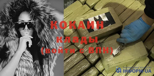 шишки Аркадак