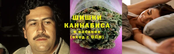 шишки Аркадак