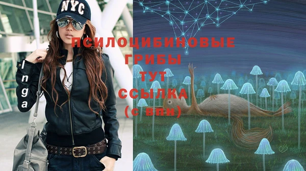 ALPHA-PVP Арсеньев