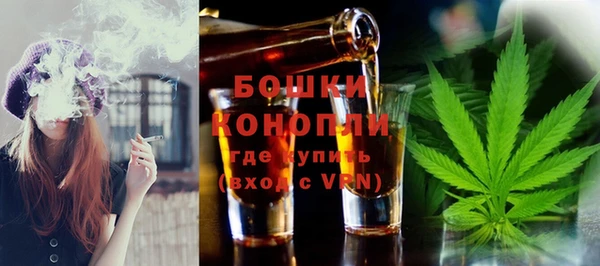 шишки Аркадак