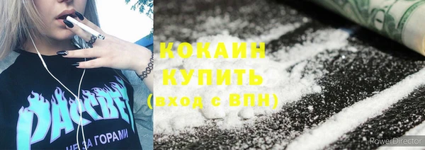 шишки Аркадак
